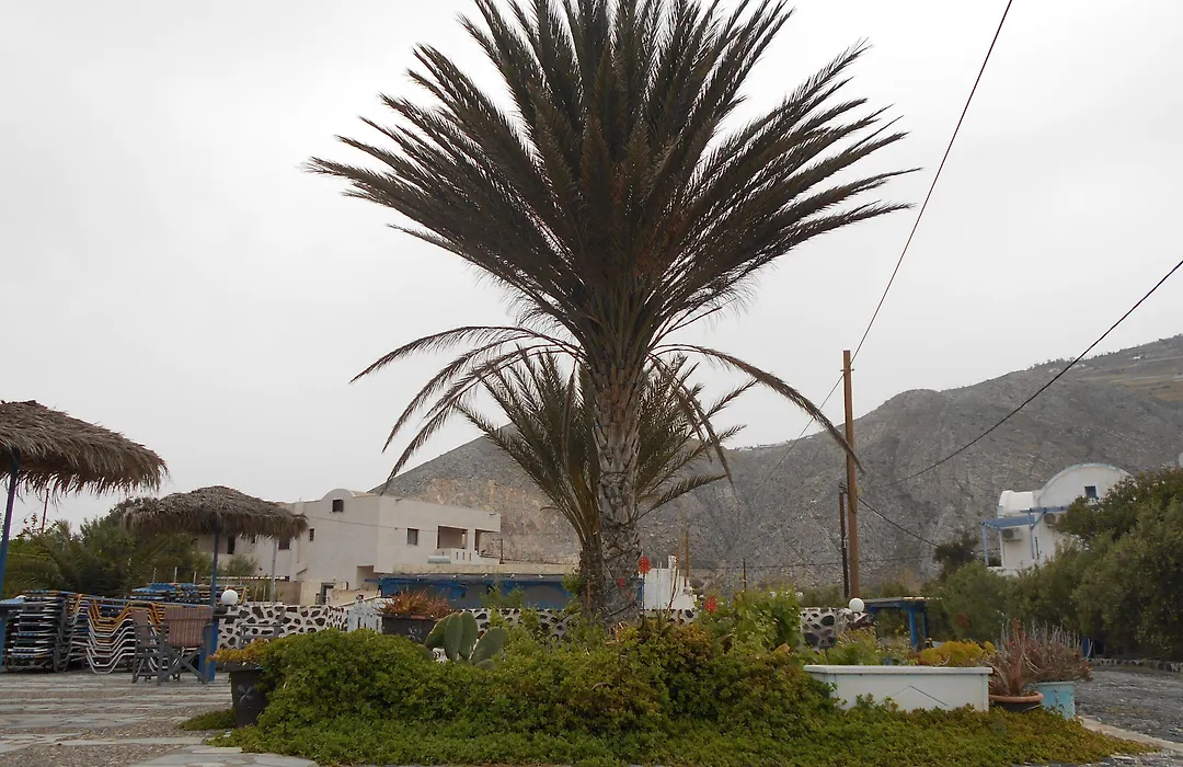 Hotel Perissa-1